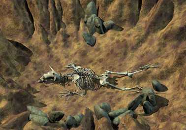 squelette de Ul-Goris